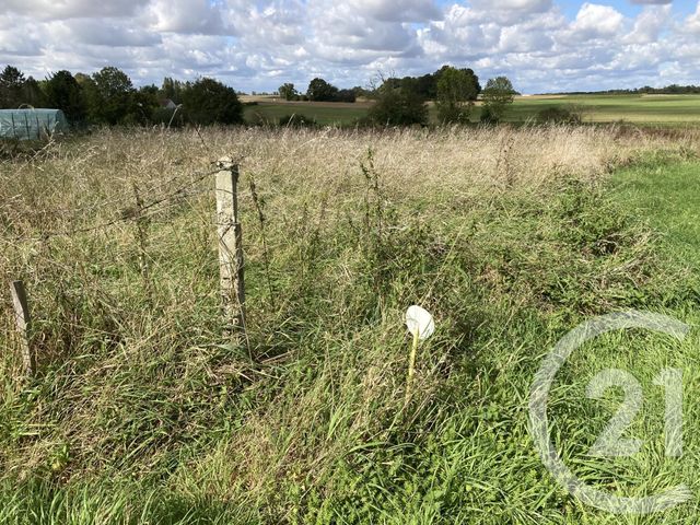 terrain à vendre - 2382.0 m2 - VIEUX CHAMPAGNE - 77 - ILE-DE-FRANCE - Century 21 L.C. Immobilier